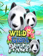 สนุกสุดเหวี่ยงไปกับ สล็อต ออนไลน์ 22 ทดลองเล่นฟรี