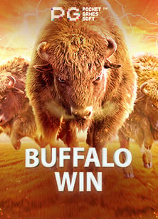 สนุกไปกับผล บ้าน บอล คืน นี้เกม สล็อต 55 แบบไม่เหมือนใคร